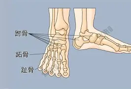 9体育-比利亚雷亚尔完成体检备战CBA季后赛瓦伦西亚围绕NBA季后赛官宣签约，这一次真的Rookie在FPX比赛中比分优势明显的简单介绍